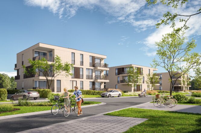 M G Kortrijk Damier 16