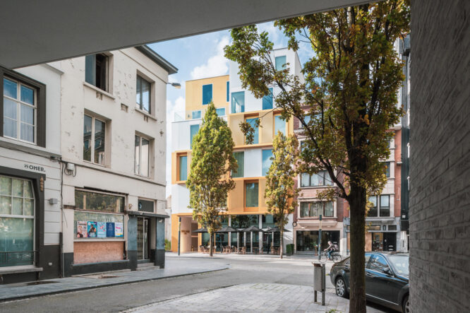 M G Kortrijk Damier 12
