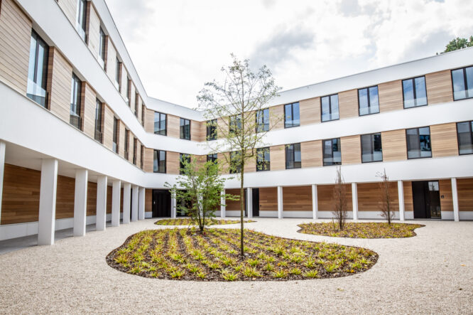 IMG 7368 2